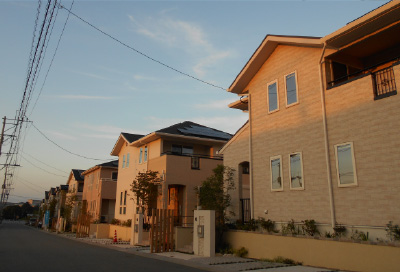 1106_cottonhills1