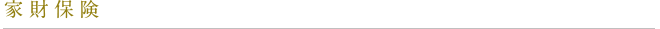kw-insurance_text02