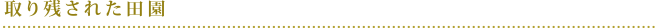 kw-ps03_text02