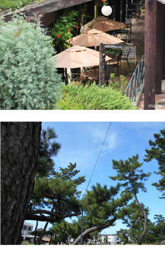 kw-ps06_photo01