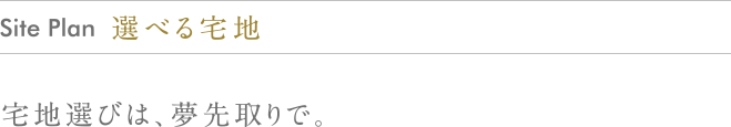 kw-semiorder_text03