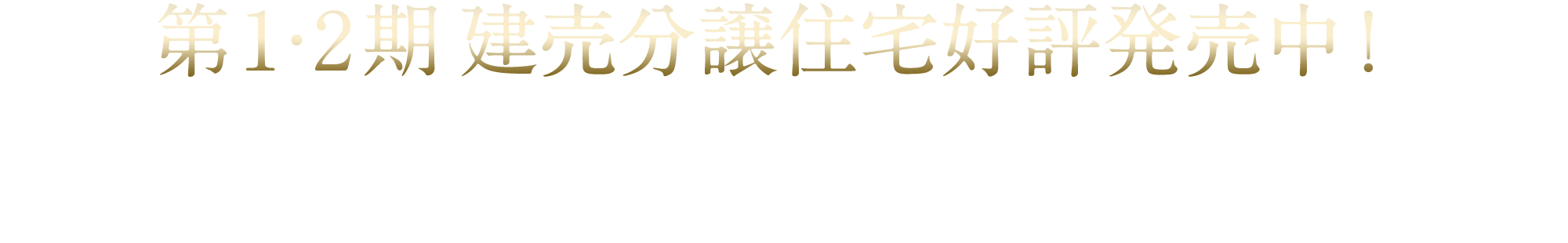 第1・2期建売分譲住宅好評発売中！