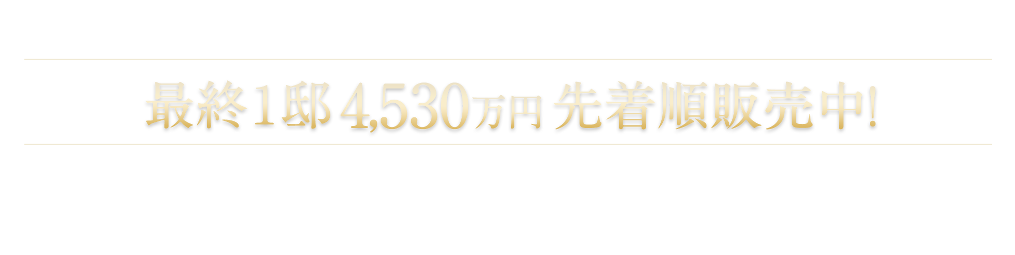 第4期分譲住宅最終１邸　4,530万円　先着順販売中