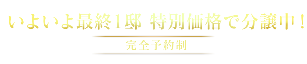 6号地限定1邸　1/5より特別価格で分譲！
