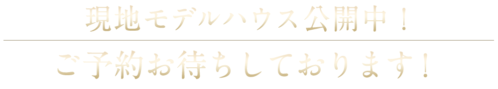 現地モデルハウス公開中！ご予約お待ちしております！