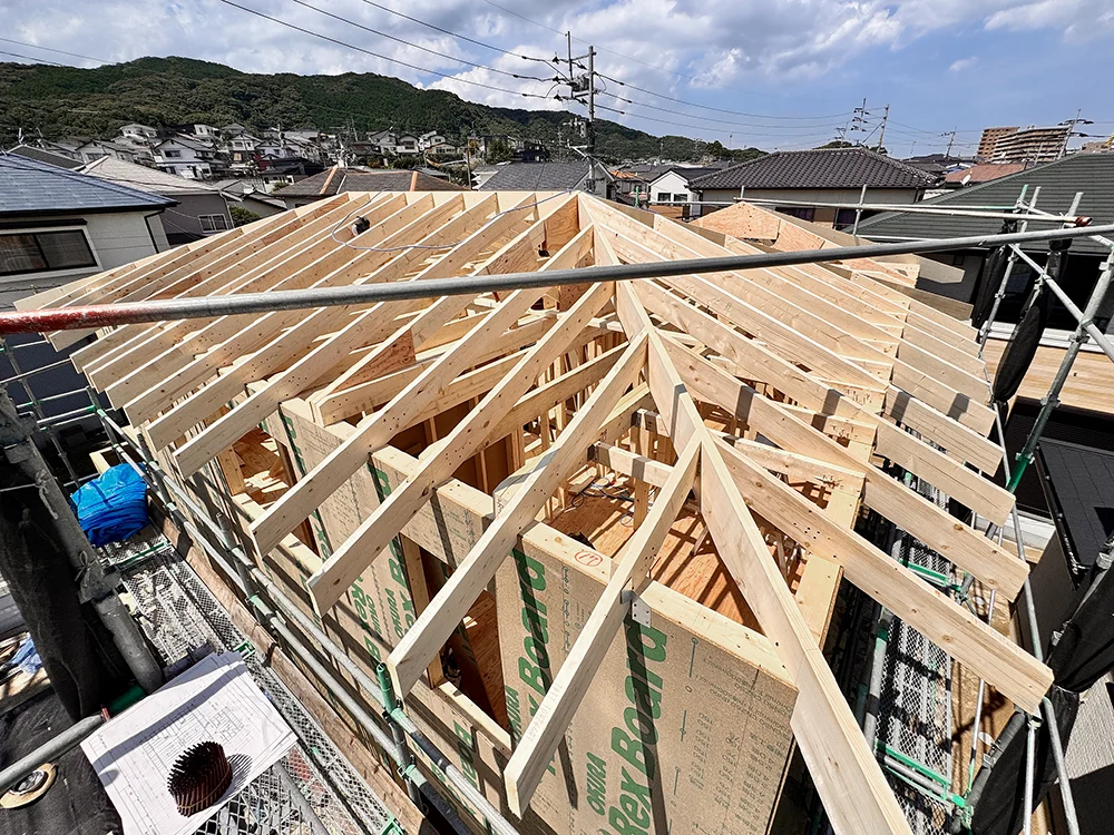 足場から見た屋根の小屋組み